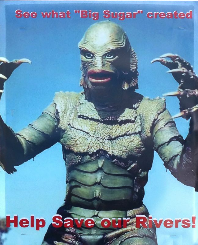 Click to See Next Image